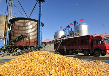 玉米烘干廠玉米裝車現(xiàn)場(chǎng)